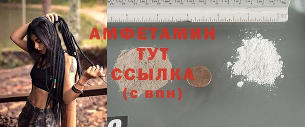 молекула духа Бородино