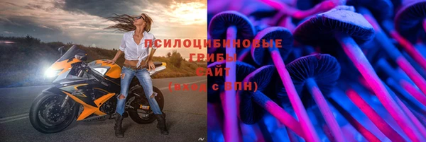 молекула духа Бородино