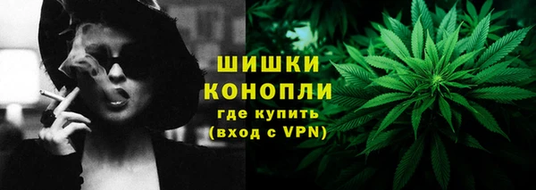молекула духа Бородино