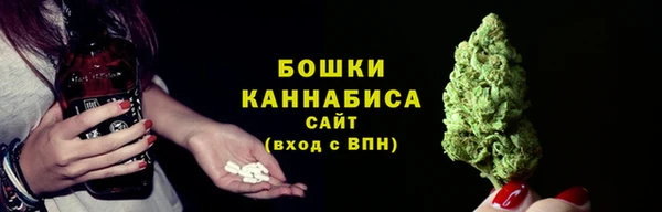 молекула духа Бородино