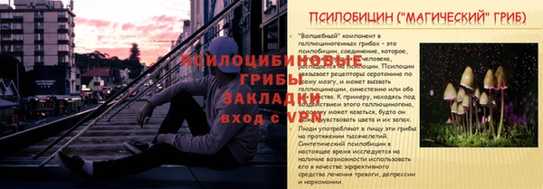молекула духа Бородино