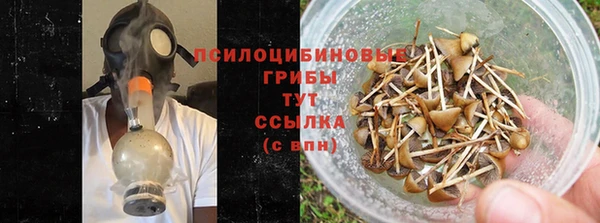 гидропоника Богородск