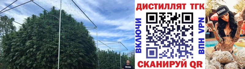 Дистиллят ТГК жижа  Купить закладки  Кореновск 